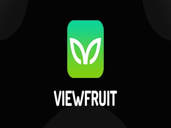 Nền tảng khảo sát trực tuyến Viewfruit có mặt trên nhiều quốc gia