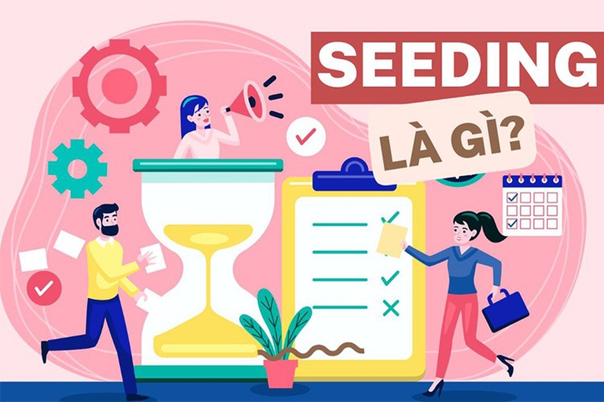 Seeding là gì?