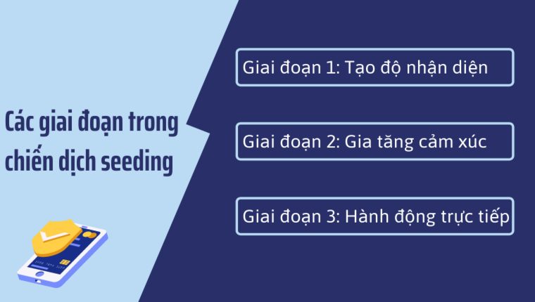 Các giai đoạn của seeding