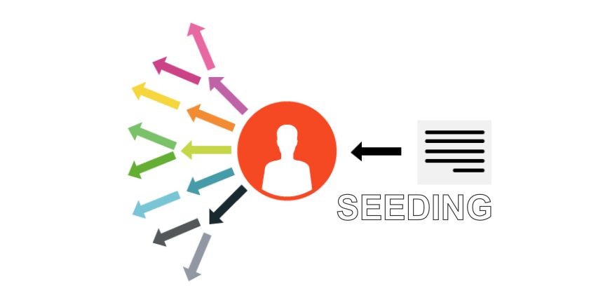 Cách seeding hiệu quả tăng tiếp cận cho chiến dịch Marketing