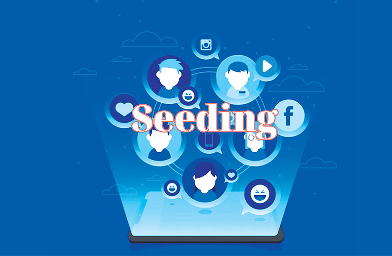 Seeding trên các nền tảng thương mại điện tử