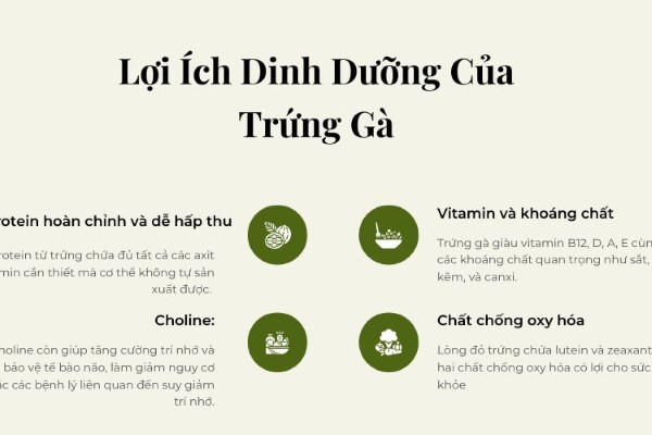 2 Quả trứng gà cung cấp bao nhiêu Protein và những lợi ích sức khỏe