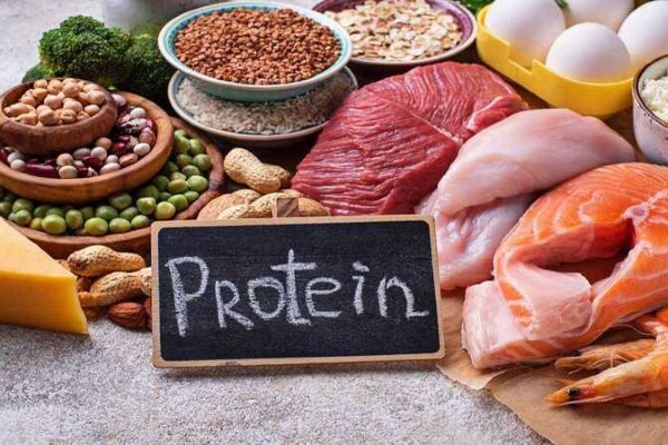 Protein bao gồm những gì? Vai trò quan trọng đối với sức khỏe con người