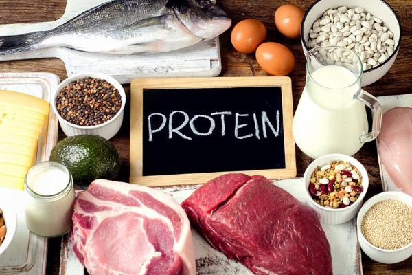 Nguồn cung cấp protein đa dạng cho chế độ ăn uống cân bằng