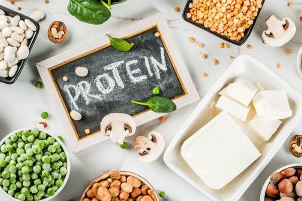 Protein trong chế độ ăn kiêng